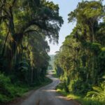 Estrada em Rondônia durante viagem por municípios
