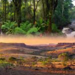 Diversidade geográfica de Rondônia do norte ao Cone Sul com florestas e rios