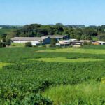Plantações de soja e áreas comerciais em Rondônia representando o agronegócio e crescimento econômico