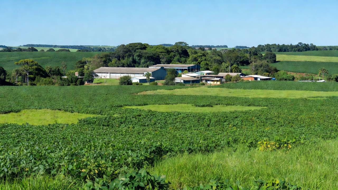 Plantações de soja e áreas comerciais em Rondônia representando o agronegócio e crescimento econômico
