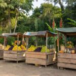 Feira de comércio em Rondônia com barracas de produtos locais e oportunidades de emprego