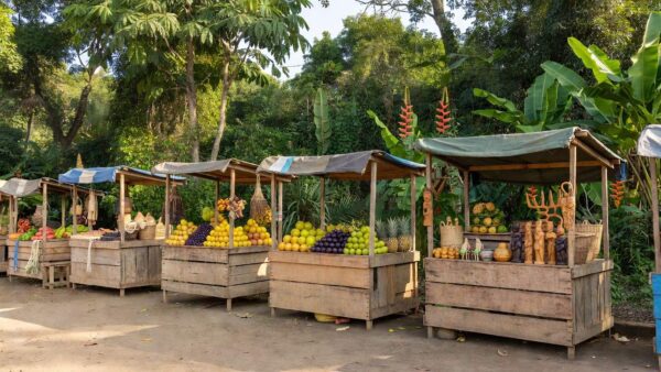 Feira de comércio em Rondônia com barracas de produtos locais e oportunidades de emprego
