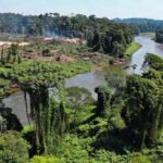 Floresta amazônica em Rondônia representando dano ambiental