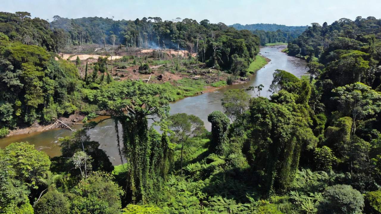 Floresta amazônica em Rondônia representando dano ambiental