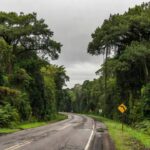 Rodovia BR-319 em Porto Velho, local de homicídio