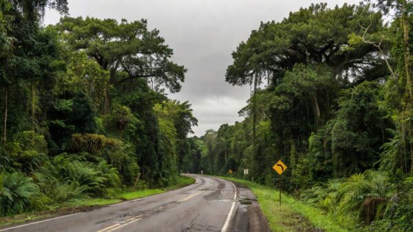 Rodovia BR-319 em Porto Velho, local de homicídio