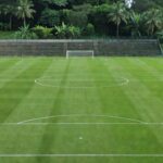 Campo de futebol em estádio da Série D no Brasil, Guaporé e Gazin Porto Velho