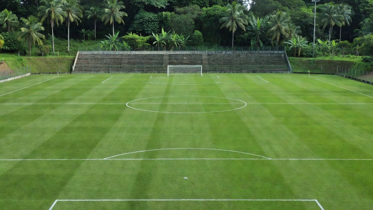 Campo de futebol em estádio da Série D no Brasil, Guaporé e Gazin Porto Velho