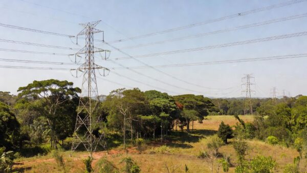 Imagens: Extra de Rondônia