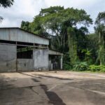 Até o momento, não há informações oficiais sobre o que motivou os dois episódios / Imagens: Internautas