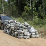 Apreensão de 125 kg de maconha pela Polícia Civil em Cacoal