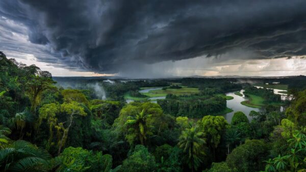 Chuva e nebulosidade avançando sobre a floresta no oeste de Rondônia