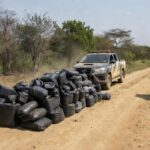 Imagens: Plantão CNP – Campo Novo dos Parecis – MT
