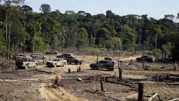 Viaturas da Polícia Civil em operação contra grilagem e desmatamento em Rondônia