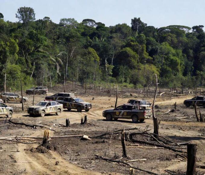 Viaturas da Polícia Civil em operação contra grilagem e desmatamento em Rondônia