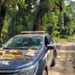 Viatura da Polícia Civil com munições apreendidas em Machadinho d’Oeste