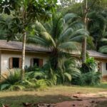 Escola em Ariquemes RO sobre contratação de professores por associações de pais