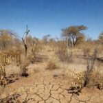 Paisagem seca em Rondônia com calor intenso e céu sem nuvens