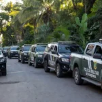 Imagem: Divulgação