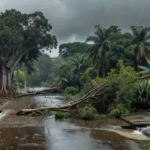 Ruas alagadas e árvores derrubadas por chuvas fortes em Porto Velho