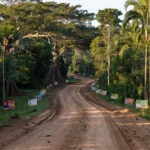 Fotos: Divulgação