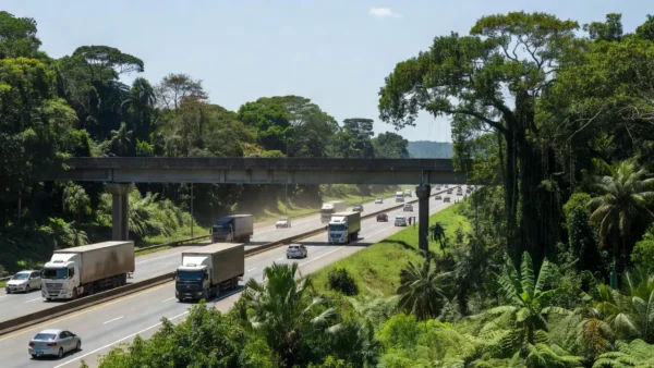 Passarela na BR-364 em Porto Velho, local de incidente com coronel da PM