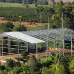 Barracão agrícola em construção em Espigão do Oeste, Rondônia