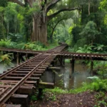 Trilhos da Estrada de Ferro Madeira-Mamoré em Porto Velho, candidata à UNESCO