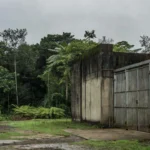 Grupo estaria racista dentro do TJ-RO é alvo de investigação — Foto: Rede Amazônica
