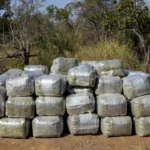 Fardos de maconha e skunk apreendidos em Alto Paraíso, Goiás