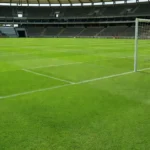 Campo de futebol feminino em estádio brasileiro, patrimônio cultural aprovado pela Câmara.