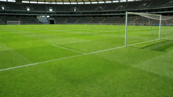 Campo de futebol feminino em estádio brasileiro, patrimônio cultural aprovado pela Câmara.