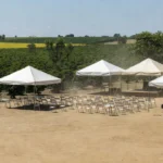 Plantação agrícola em Cacoal durante evento Agro&Cont