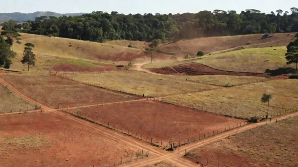 Paisagem rural em Rondônia com terras agrícolas e floresta amazônica