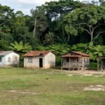 PF Divulgação