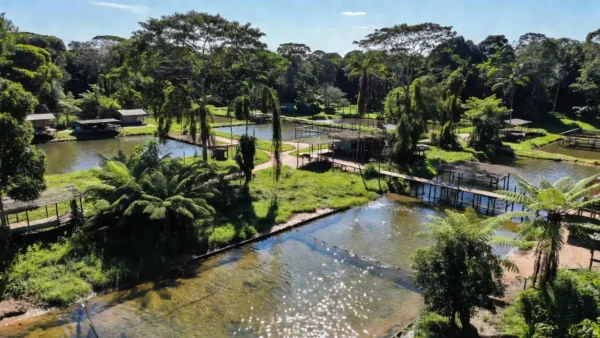 Tanques de piscicultura em Ariquemes, Rondônia, representando expansão da aquicultura na Amazônia.