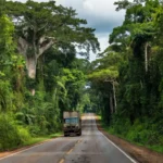 Rodovia BR-319 na Amazônia com carreta em movimento