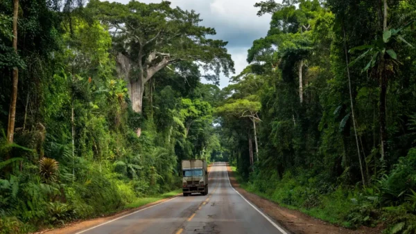 Rodovia BR-319 na Amazônia com carreta em movimento
