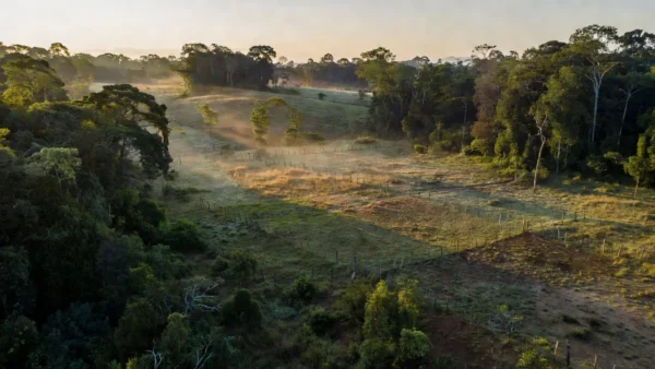 Coronel Chrisóstomo propõe simplificação da regularização fundiária em Rondônia