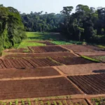 Coronel Chrisóstomo propõe simplificação na regularização fundiária para agricultores familiares em Rondônia
