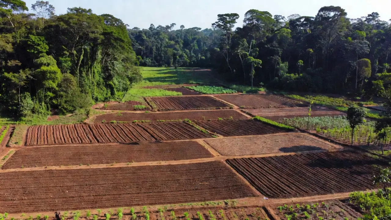 Coronel Chrisóstomo propõe simplificação na regularização fundiária para agricultores familiares em Rondônia