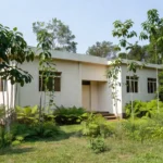 Fachada da Prefeitura de Jaru com vegetação tropical ao redor