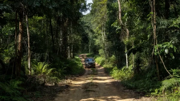 Viatura da Polícia Federal em operação em Rondônia