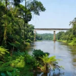 Fronteira Brasil-Bolívia com paisagem amazônica durante intercâmbio da Afya São Lucas