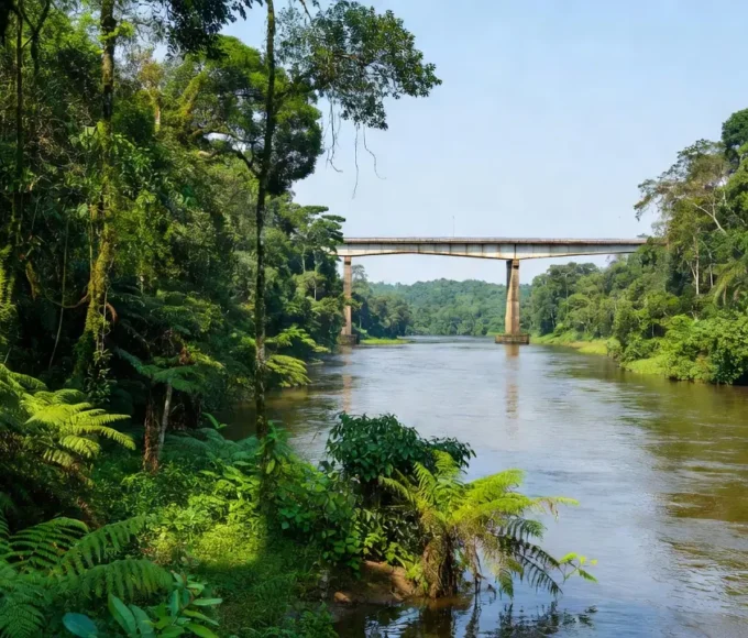 Fronteira Brasil-Bolívia com paisagem amazônica durante intercâmbio da Afya São Lucas
