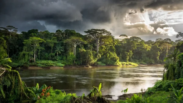 Paisagem da Amazônia com chuva isolada e sol forte na Região Norte