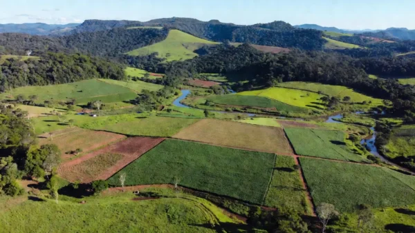 Paisagem rural em Rondônia com áreas de regularização fundiária