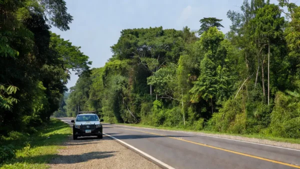 Viatura da PRF em rodovia de Rondônia durante operação de trânsito