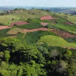 Paisagem rural em Rondônia com terras para titulação pelo Incra