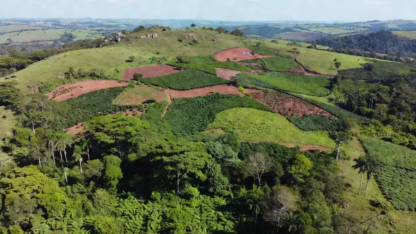 Paisagem rural em Rondônia com terras para titulação pelo Incra